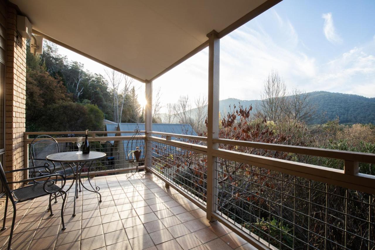 Chestnut Tree Holiday Units Bright Exterior photo